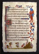 "Harvest" 
A Page from the Luttrell Psalter